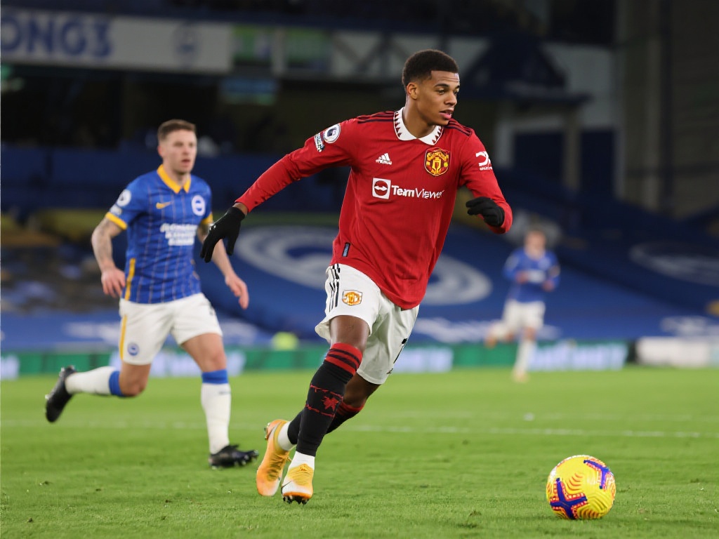 英超球队的 英超球队的